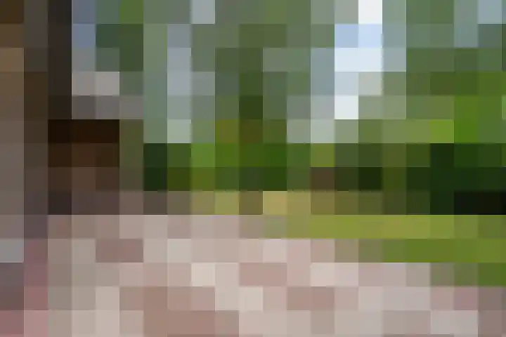 Frans Halslaan 3 Weert thumbnail 42