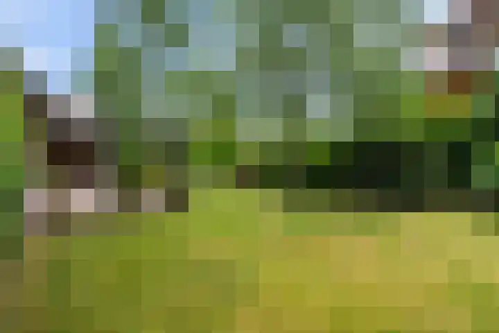 Frans Halslaan 3 Weert thumbnail 43