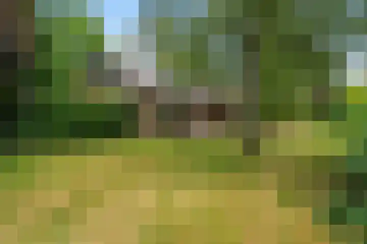 Frans Halslaan 3 Weert thumbnail 44