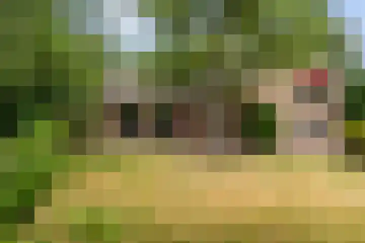 Frans Halslaan 3 Weert thumbnail 45
