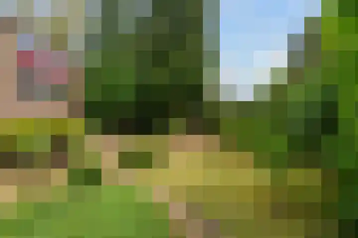 Frans Halslaan 3 Weert thumbnail 46