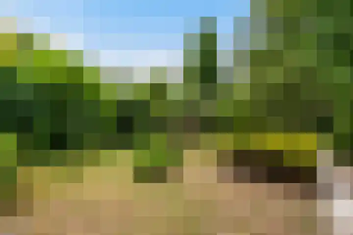 Frans Halslaan 3 Weert thumbnail 47