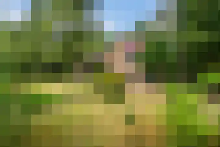 Frans Halslaan 3 Weert thumbnail 48