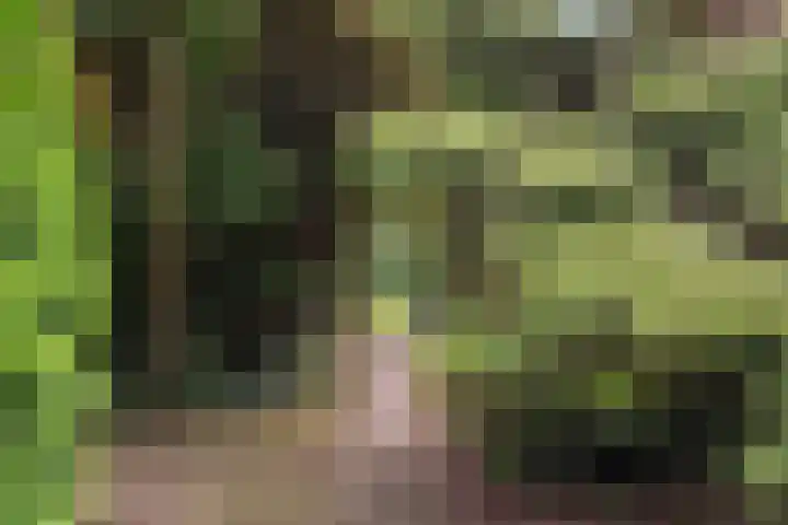 Frans Halslaan 3 Weert thumbnail 49