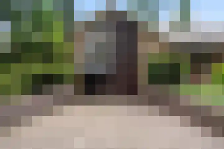 Frans Halslaan 3 Weert thumbnail 51