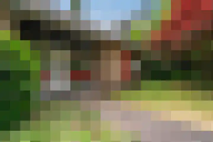 Frans Halslaan 3 Weert thumbnail 8