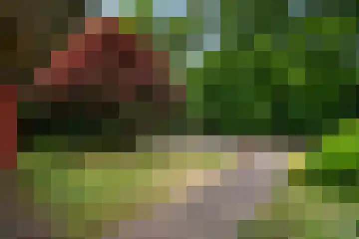 Frans Halslaan 3 Weert thumbnail 9