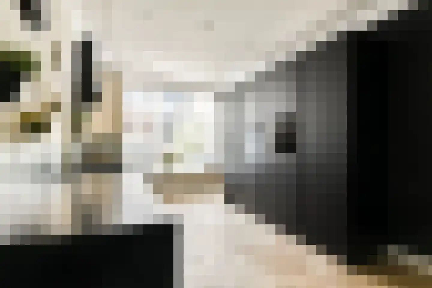 Frans Halslaan 30 Amstelveen thumbnail 11
