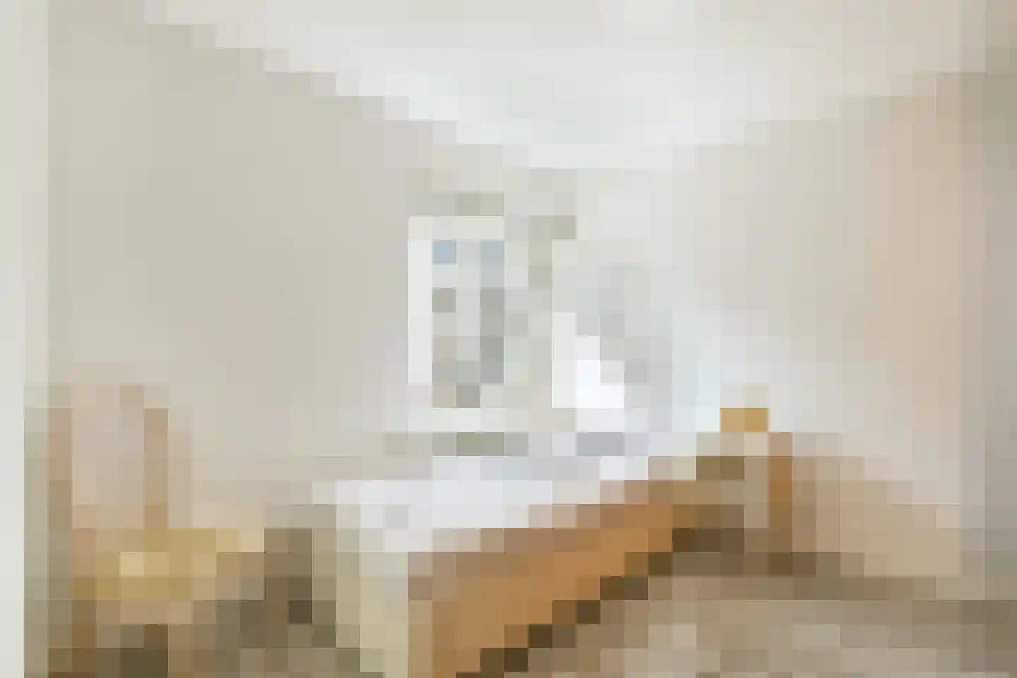 Frans Halslaan 30 Amstelveen thumbnail 20