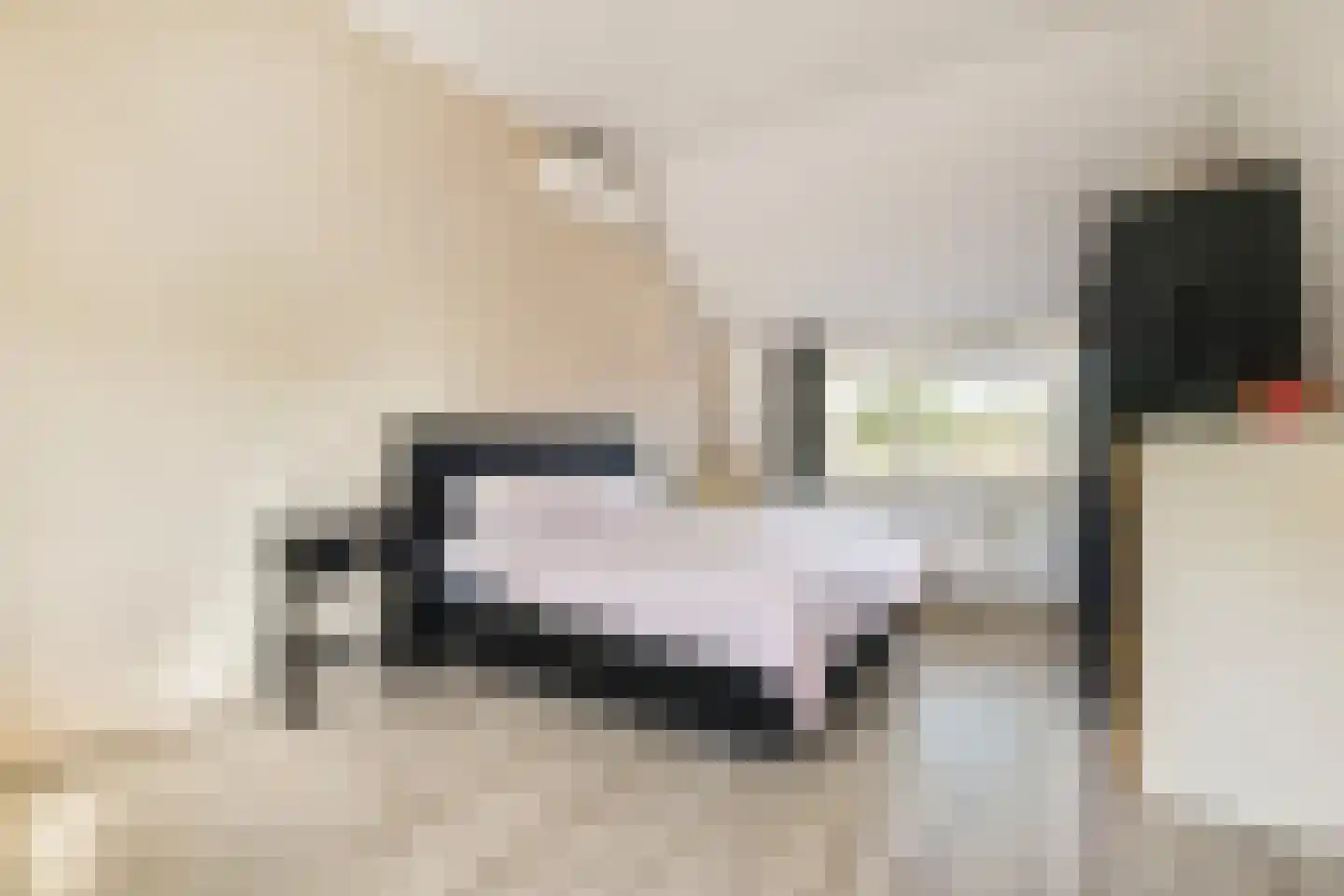 Frans Halslaan 30 Amstelveen thumbnail 22