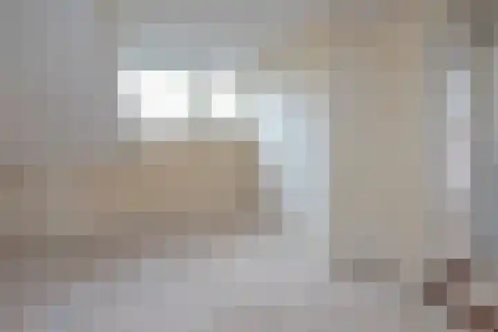 Frans Halslaan 31 Hillegom thumbnail 13