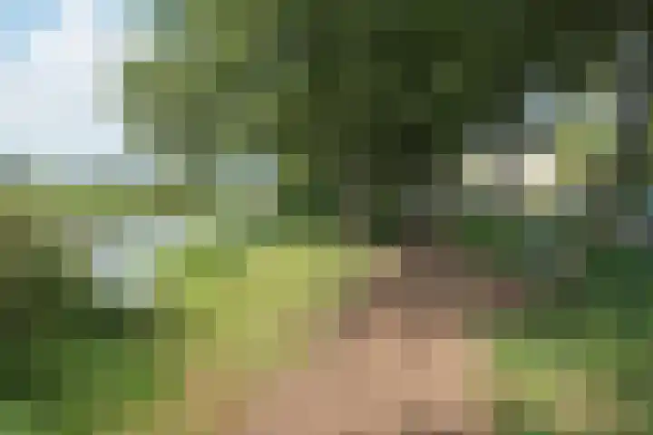 Frans Halslaan 31 Hillegom thumbnail 14