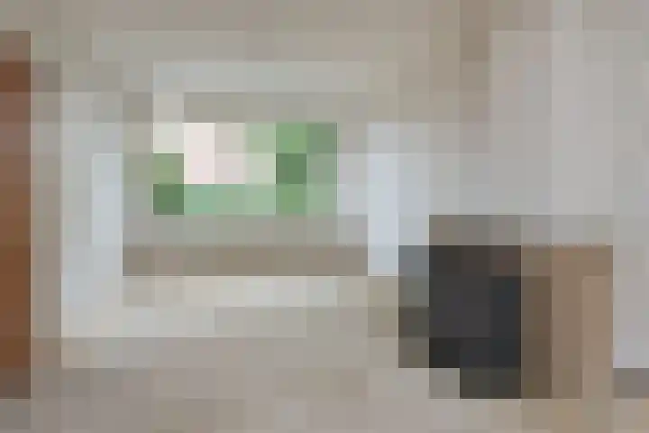 Frans Halslaan 31 Hillegom thumbnail 5