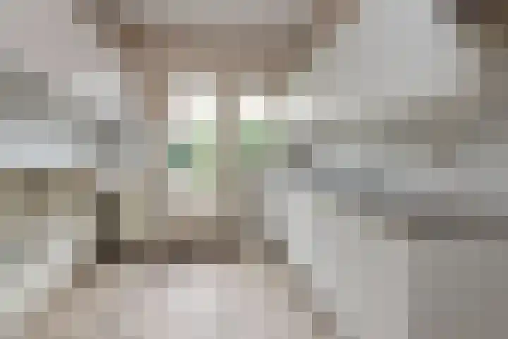 Frans Halslaan 31 Hillegom thumbnail 7