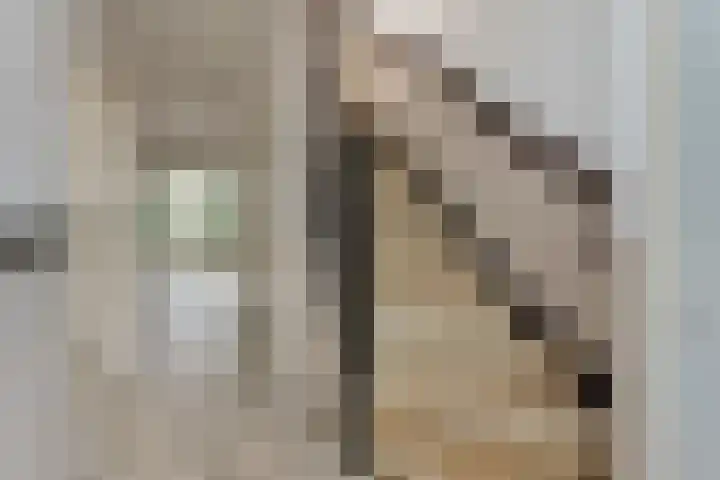 Frans Halslaan 31 Hillegom thumbnail 8