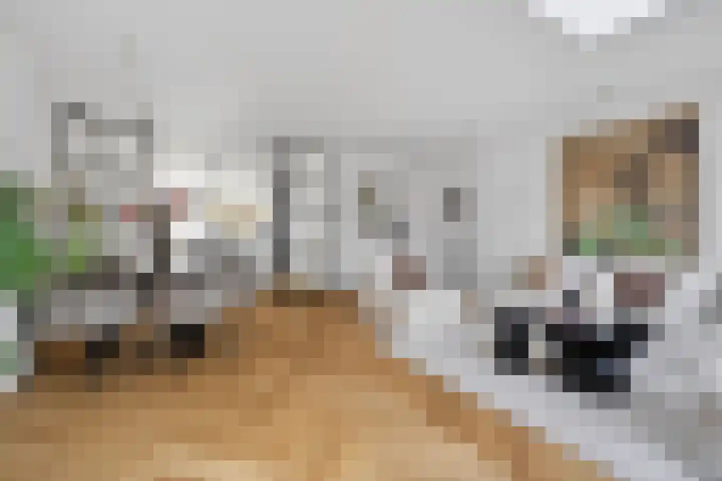 Frans Halslaan 32 Amstelveen foto 2