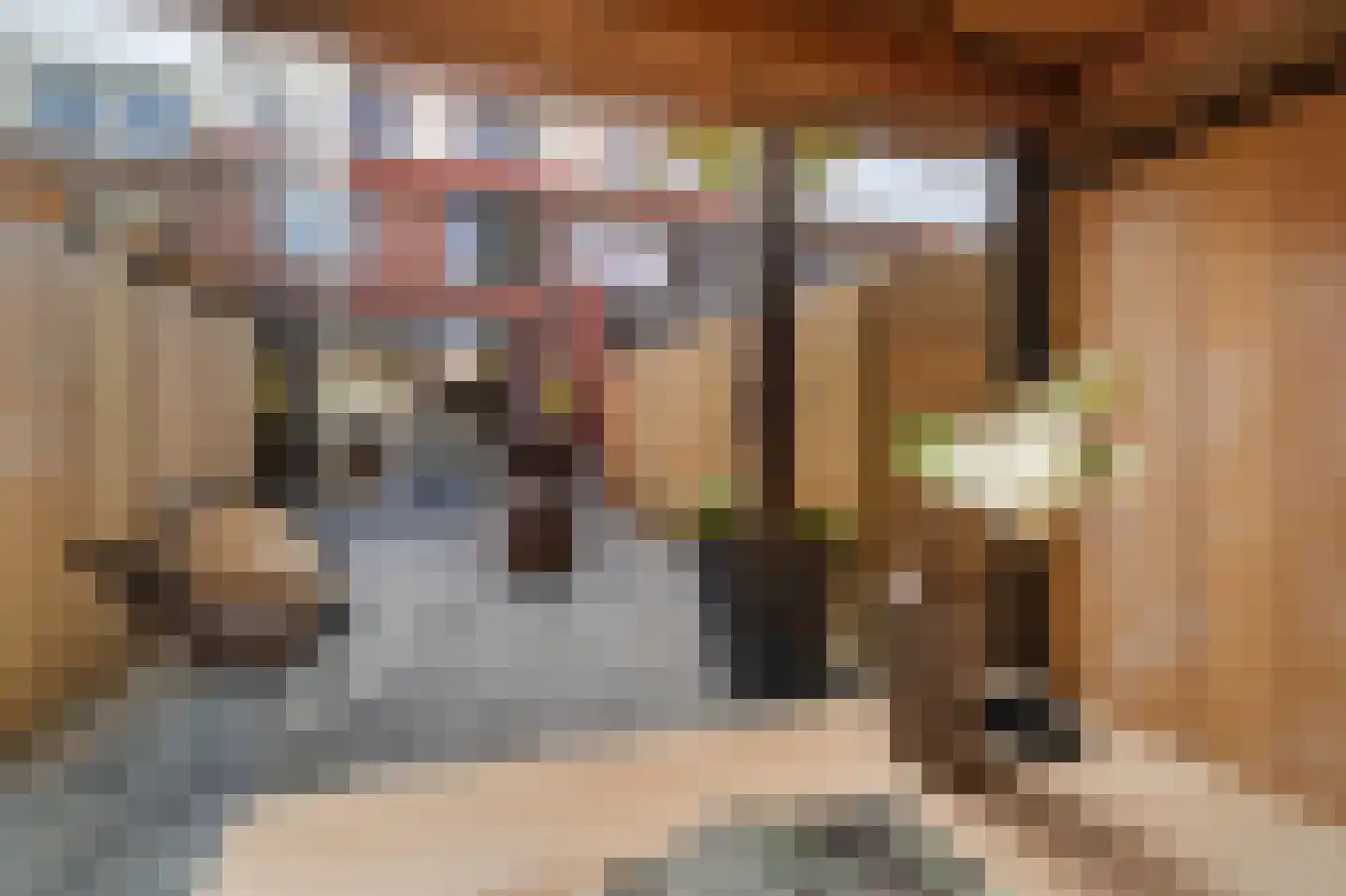 Frans Halslaan 32 Amstelveen thumbnail 29