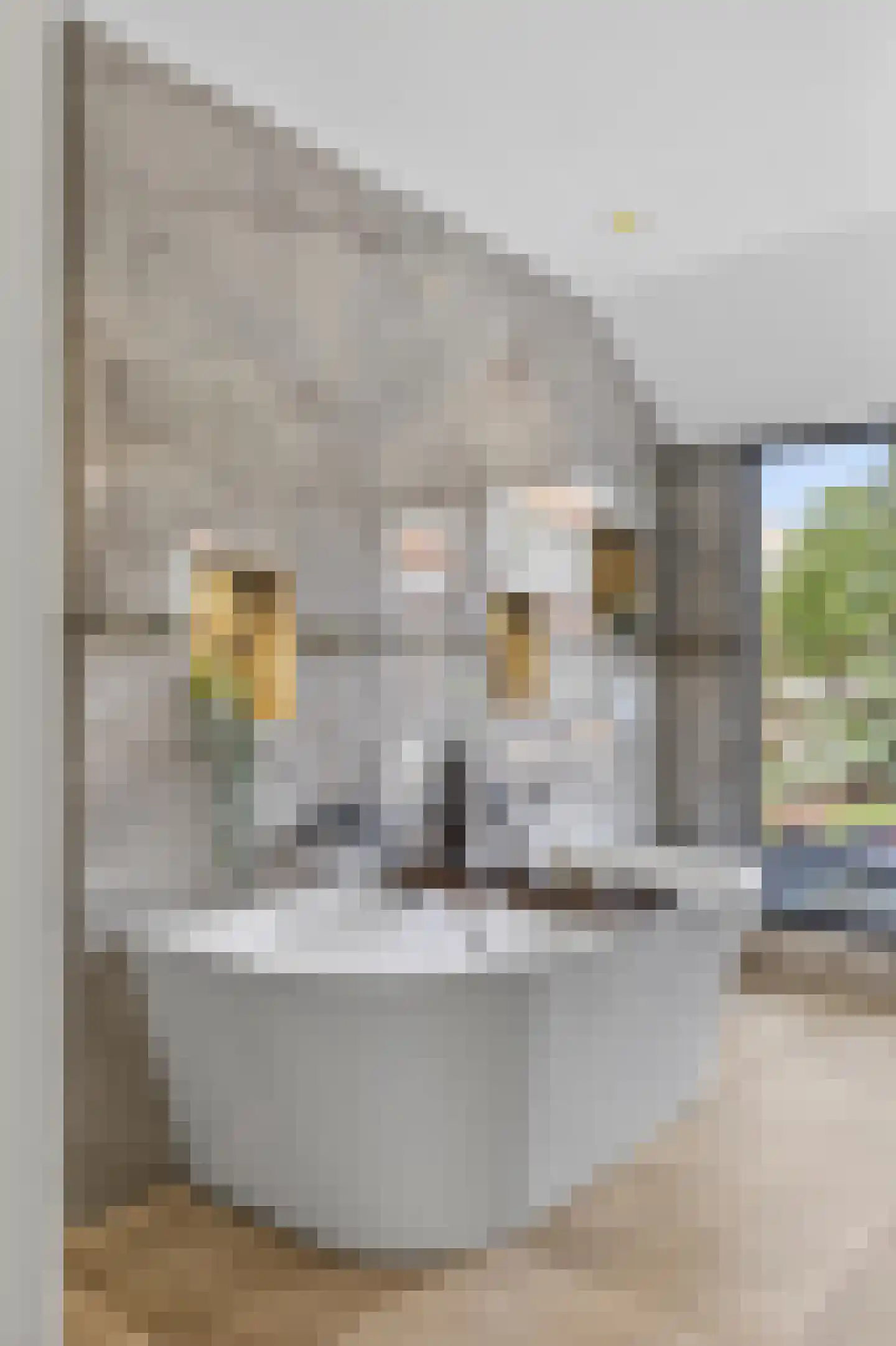 Frans Halslaan 32 Amstelveen thumbnail 40