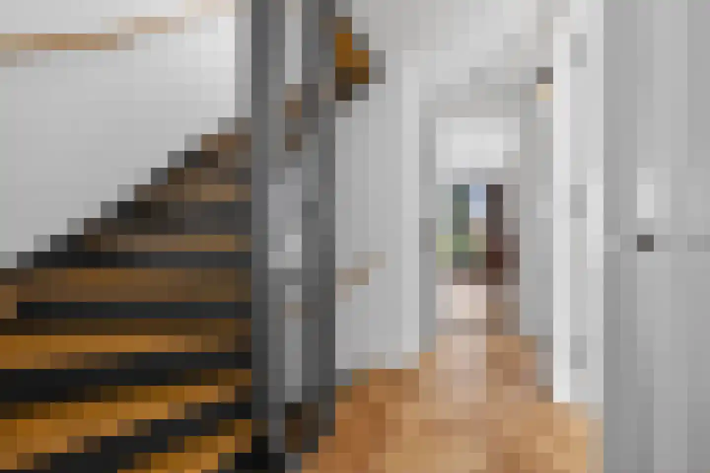 Frans Halslaan 32 Amstelveen thumbnail 44