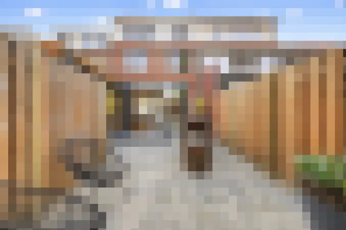 Frans Halslaan 32 Amstelveen thumbnail 52