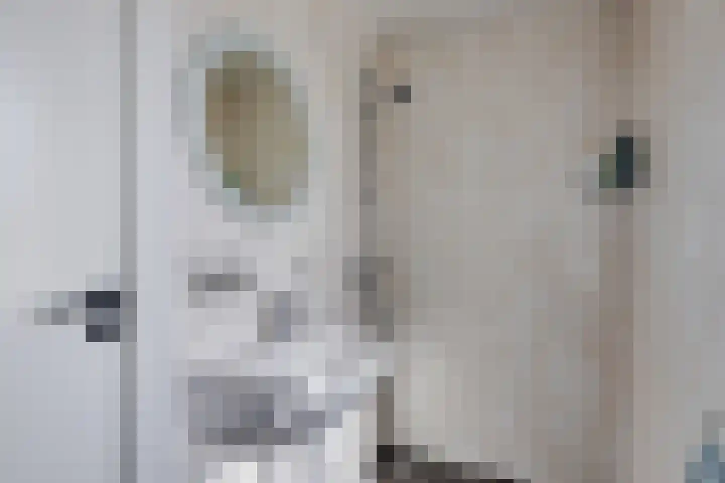 Frans Halslaan 32 Scherpenzeel thumbnail 13