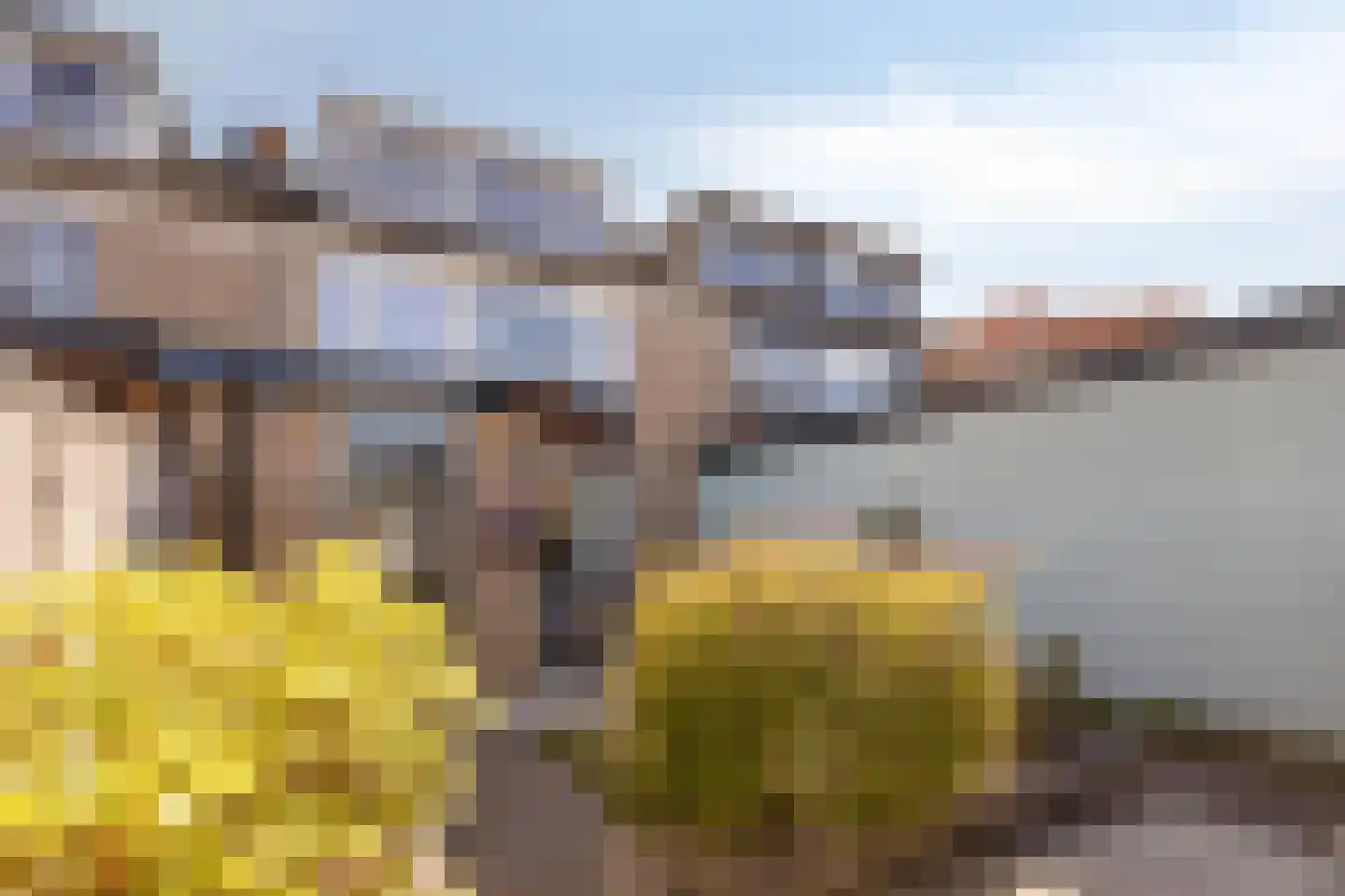 Frans Halslaan 32 Scherpenzeel thumbnail 23