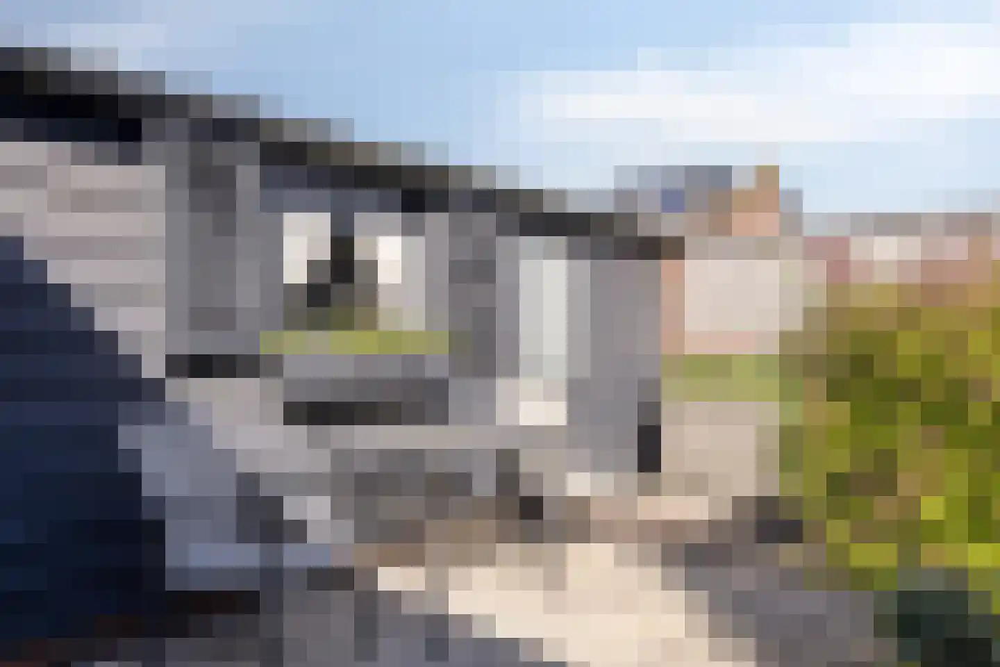 Frans Halslaan 32 Scherpenzeel thumbnail 26