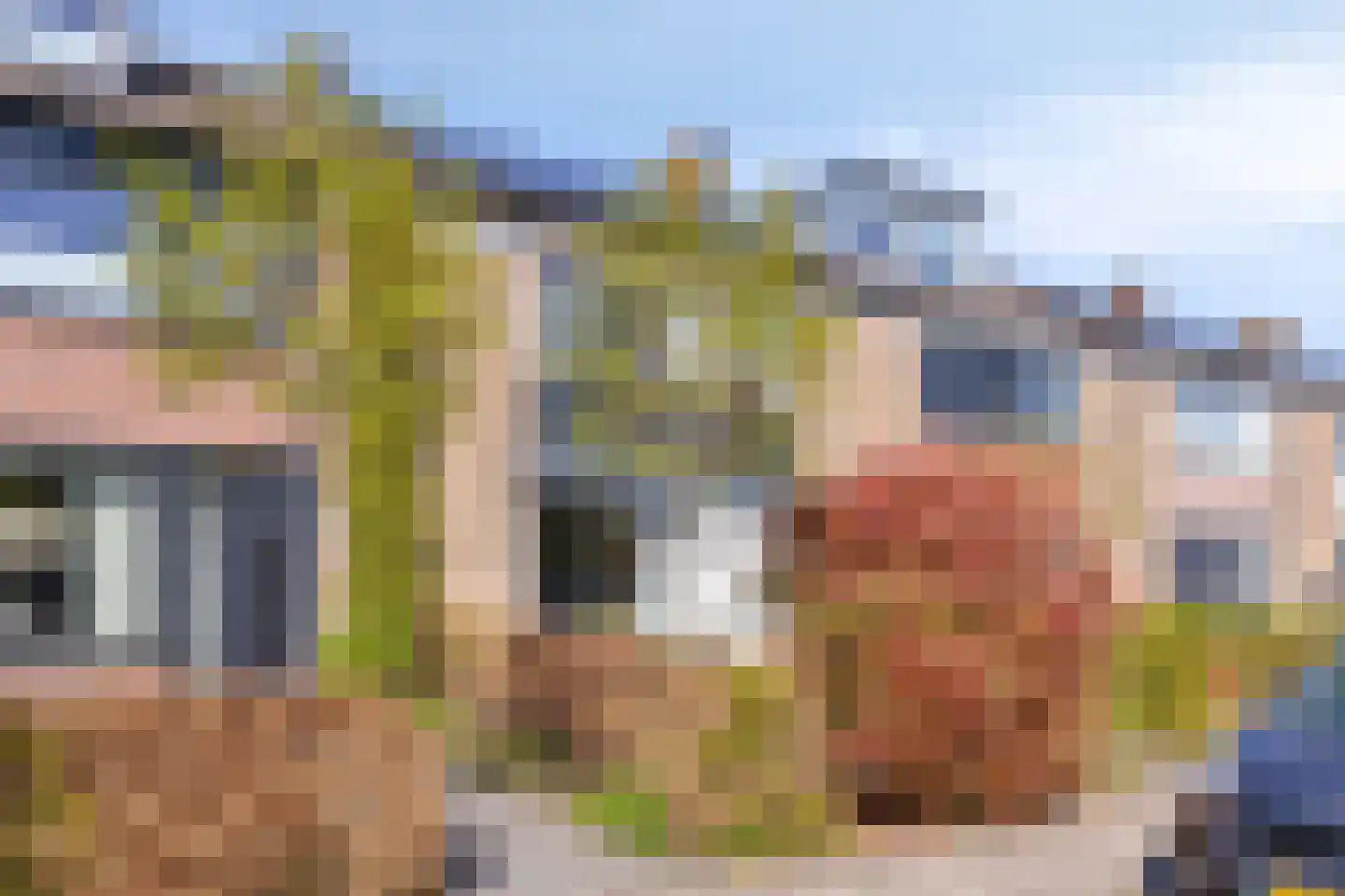 Frans Halslaan 32 Scherpenzeel thumbnail 28