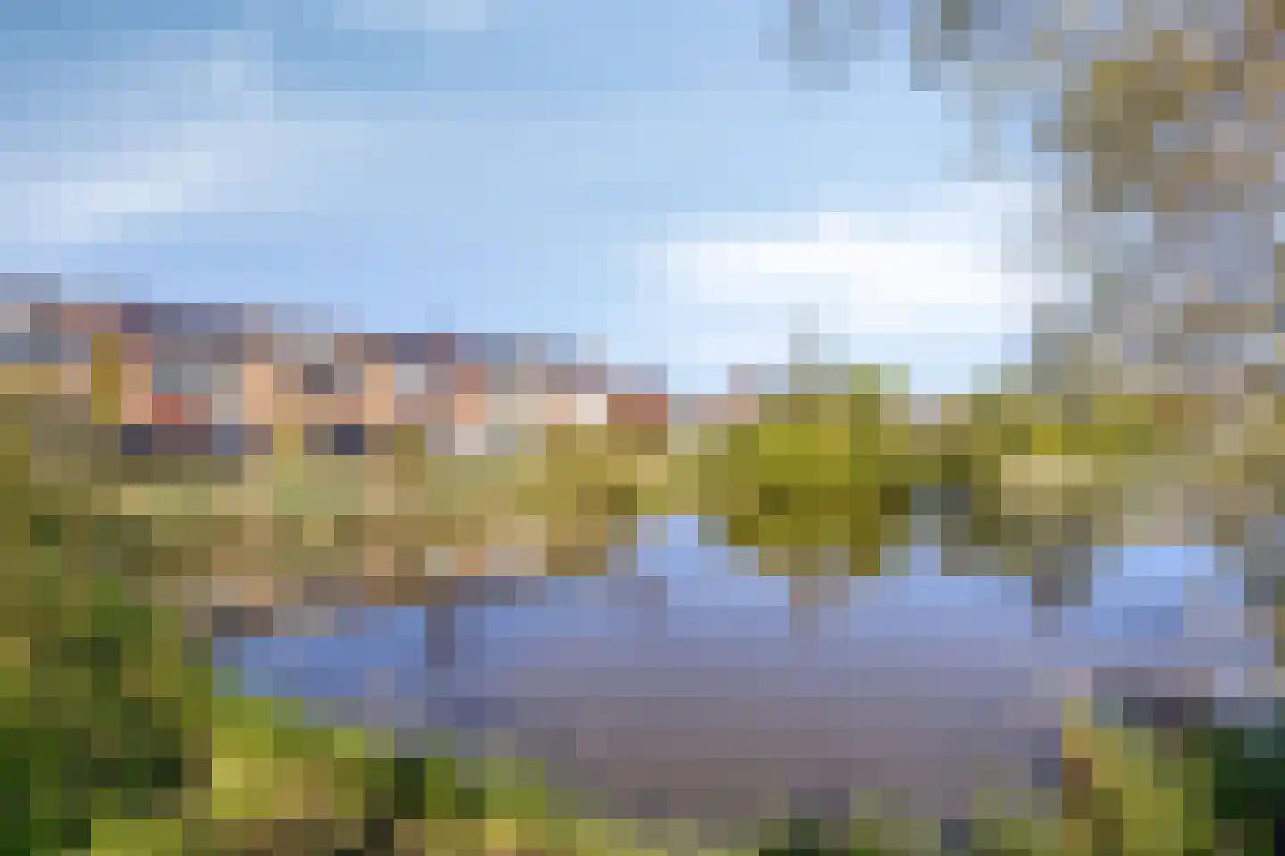 Frans Halslaan 32 Scherpenzeel thumbnail 31