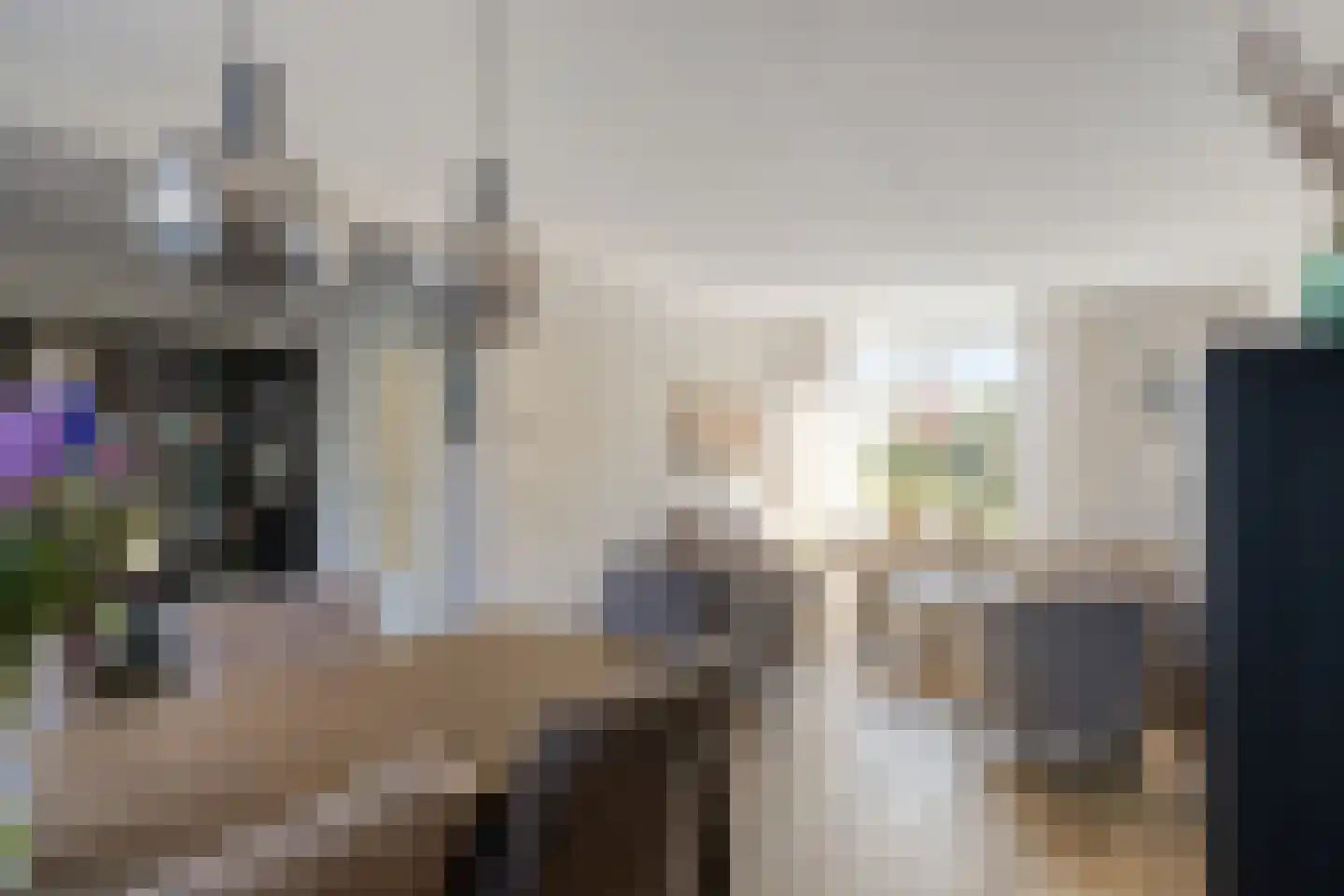 Frans Halslaan 32 Scherpenzeel thumbnail 6