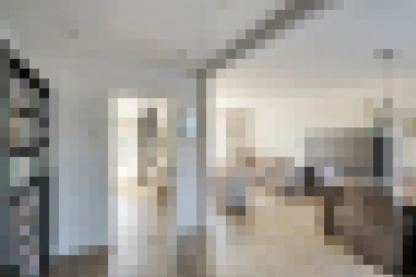Frans Halslaan 32 Scherpenzeel thumbnail 7