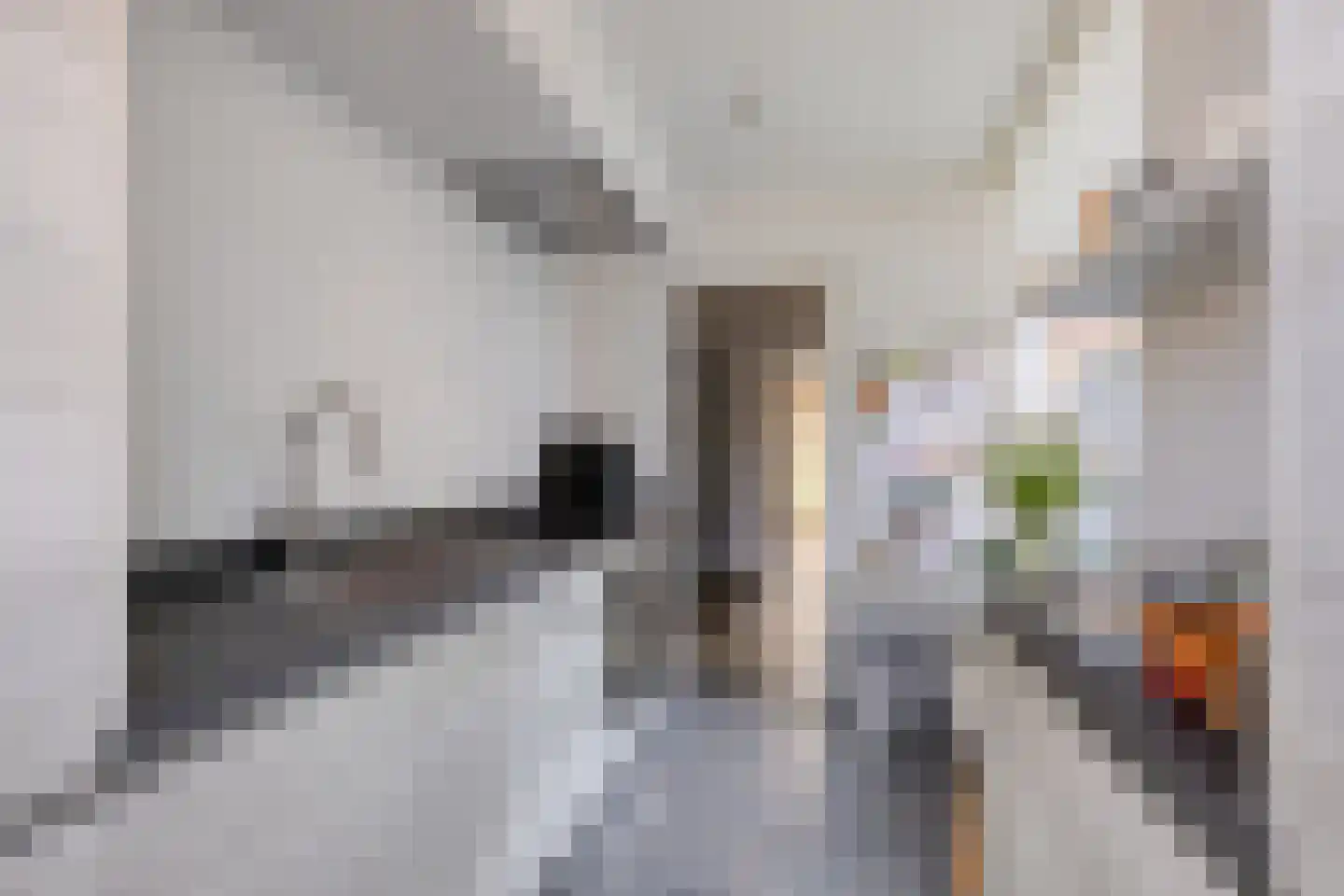 Frans Halslaan 32 Scherpenzeel thumbnail 9