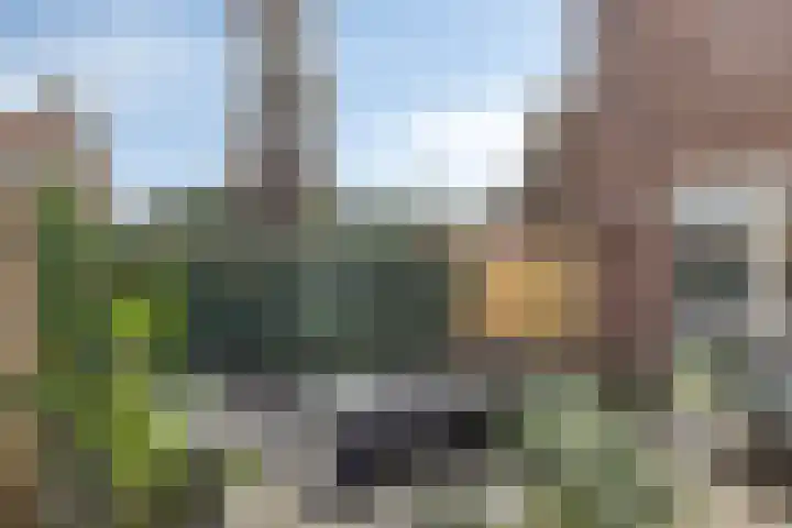 Frans Halslaan 36 Amstelveen thumbnail 12