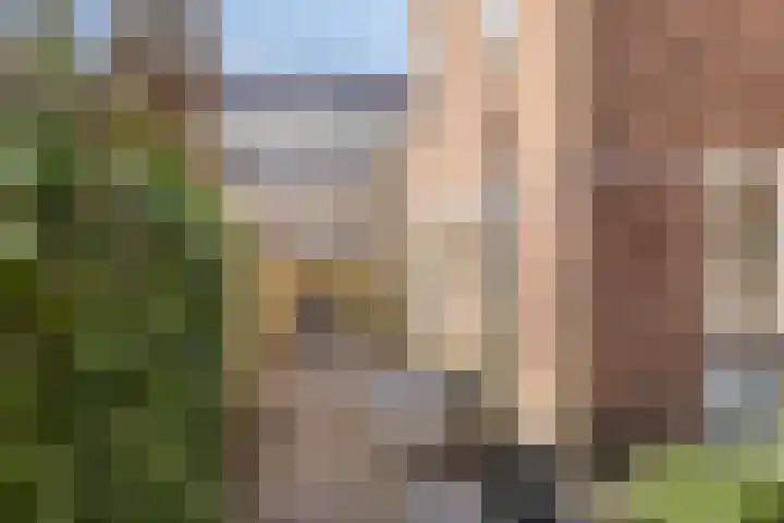 Frans Halslaan 36 Amstelveen thumbnail 13