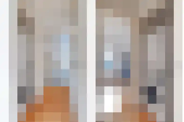 Frans Halslaan 36 Amstelveen thumbnail 24