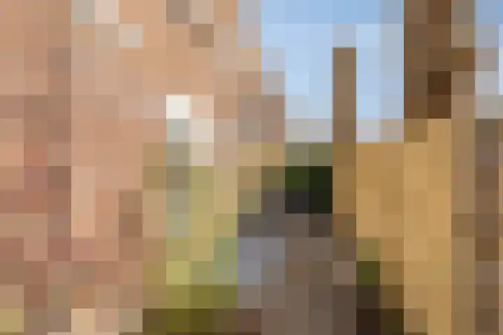 Frans Halslaan 36 Amstelveen thumbnail 33
