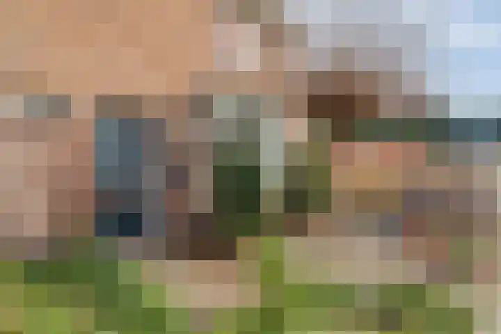 Frans Halslaan 36 Amstelveen thumbnail 35