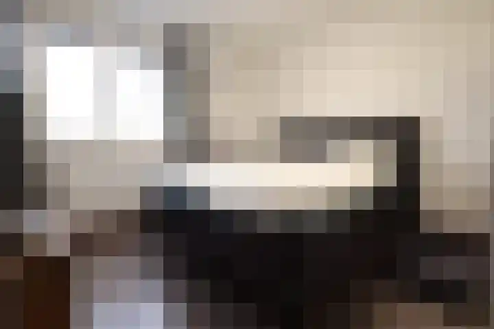Frans Halslaan 38 Oosterhout thumbnail 20