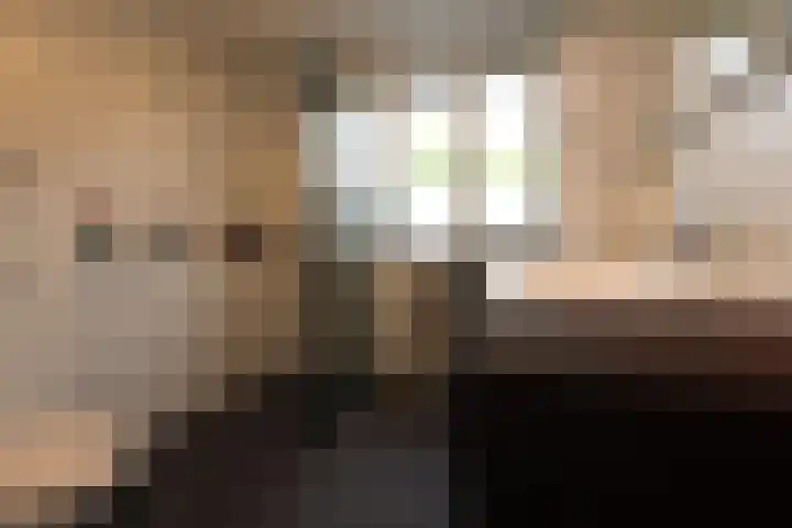 Frans Halslaan 38 Oosterhout thumbnail 21
