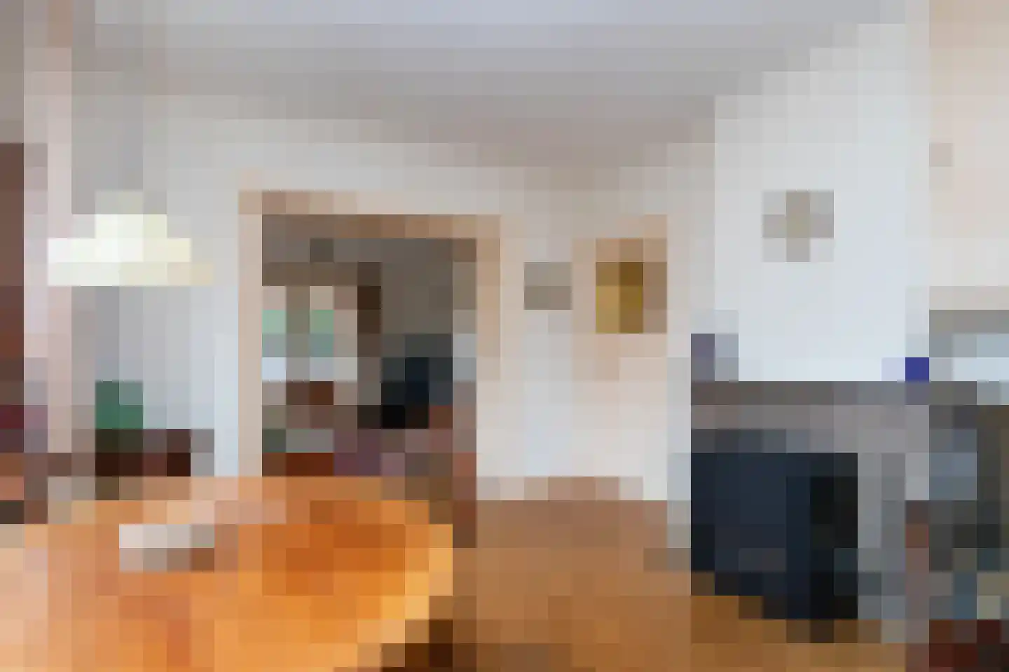 Frans Halslaan 4 Hilversum thumbnail 11