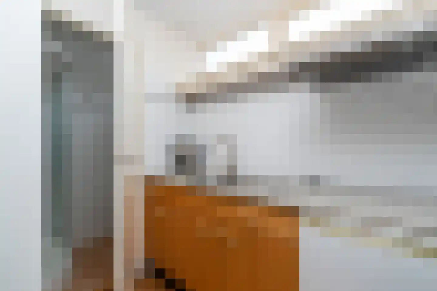 Frans Halslaan 4 Hilversum thumbnail 20