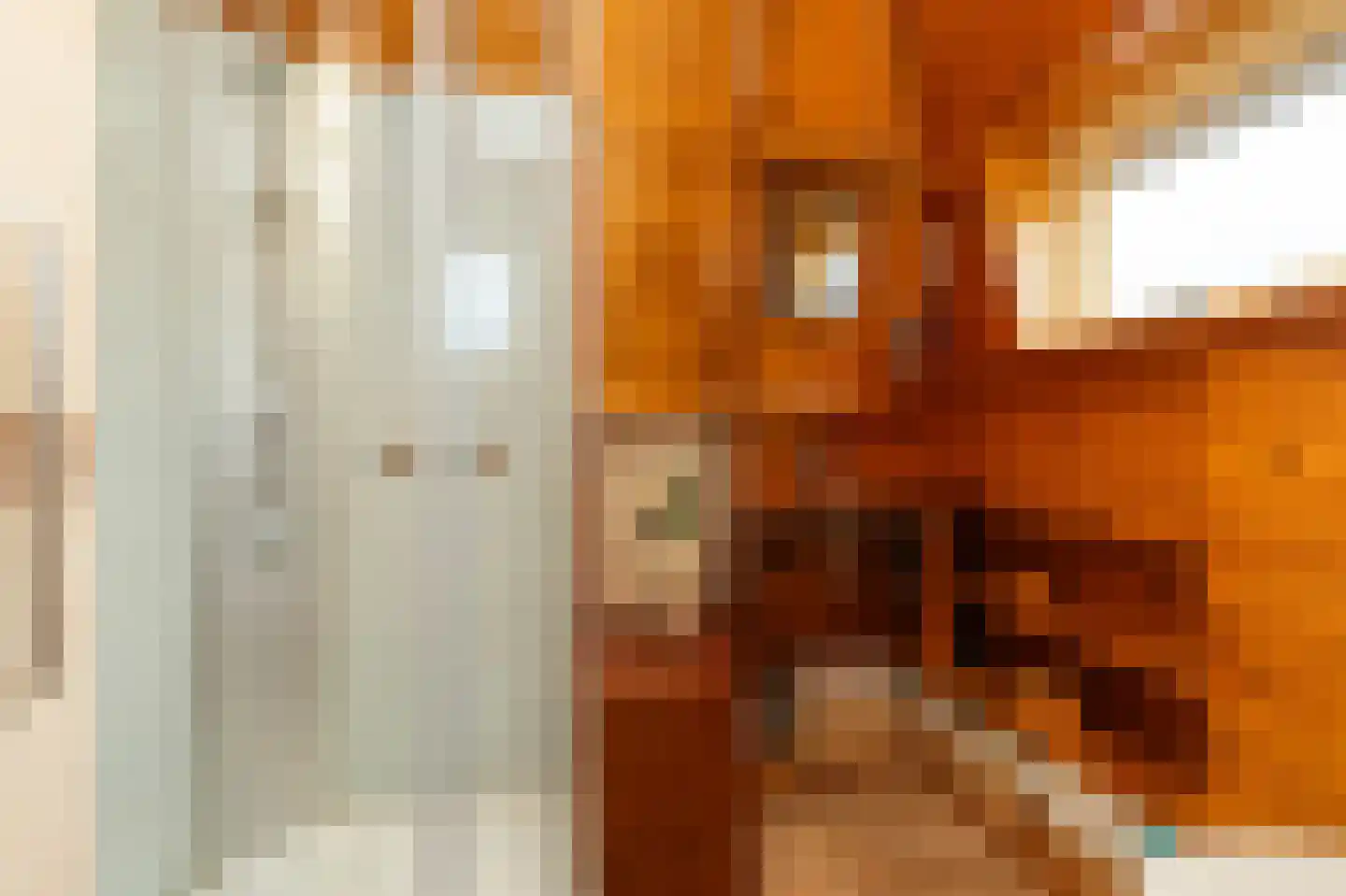 Frans Halslaan 4 Hilversum thumbnail 25
