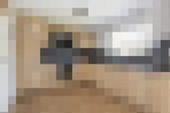 Frans Halslaan 4 Middelharnis thumbnail 10