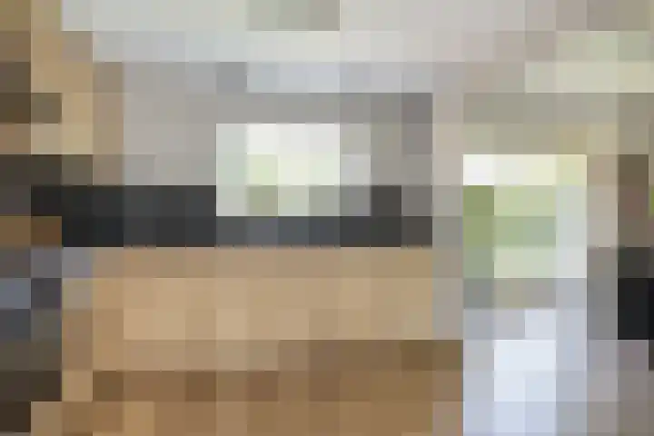 Frans Halslaan 4 Middelharnis thumbnail 11