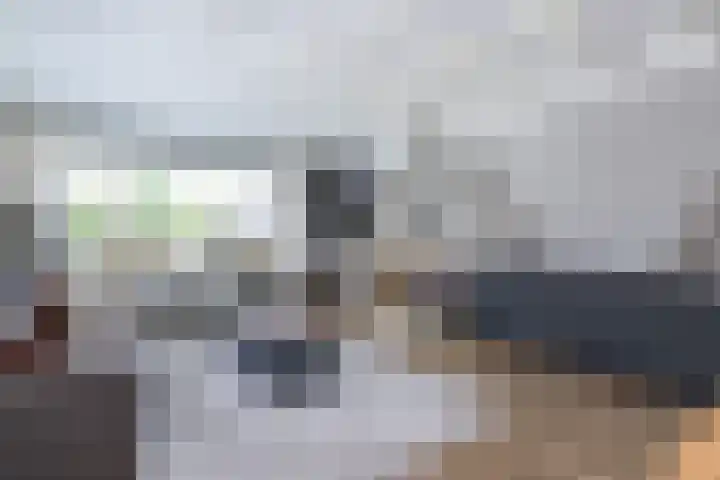 Frans Halslaan 4 Middelharnis thumbnail 13