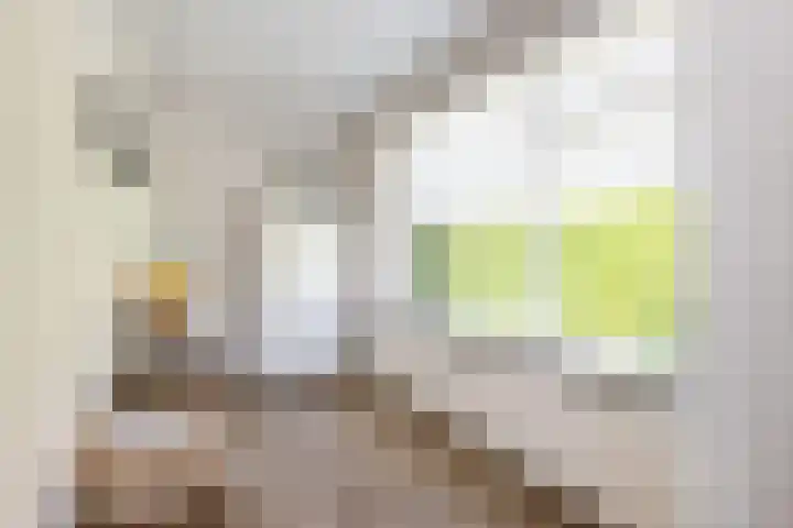 Frans Halslaan 4 Middelharnis thumbnail 17