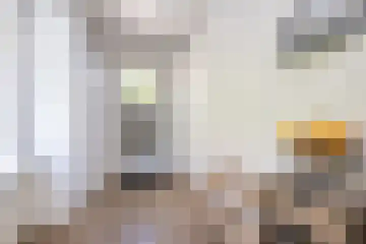 Frans Halslaan 4 Middelharnis thumbnail 18