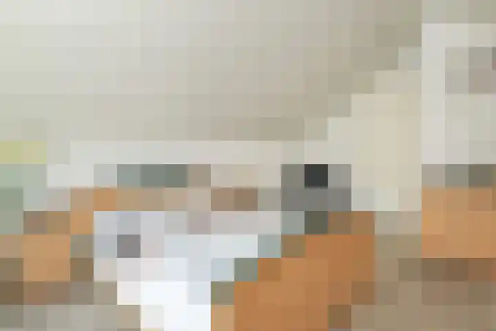 Frans Halslaan 4 Middelharnis thumbnail 20