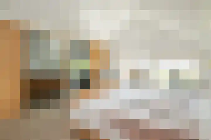 Frans Halslaan 4 Middelharnis thumbnail 21