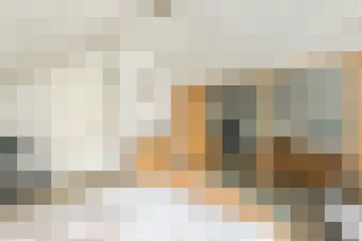 Frans Halslaan 4 Middelharnis thumbnail 22